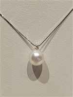Collana Davite & Delucchi Donna CLASSIC LINE in Oro bianco Perla CLNP11252